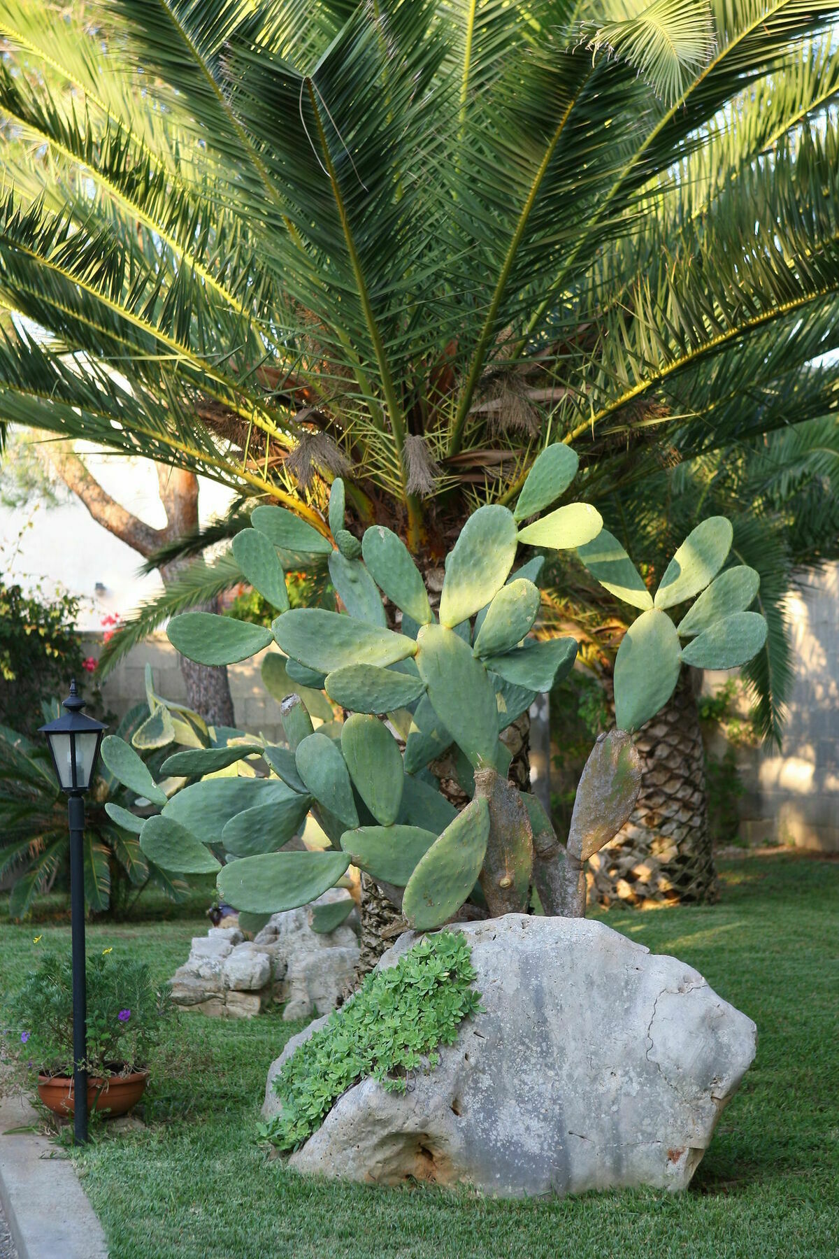 Lecce Guesthouse Eksteriør billede